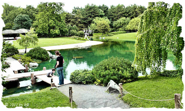 Montreal Botanical Garden - Japanese garden