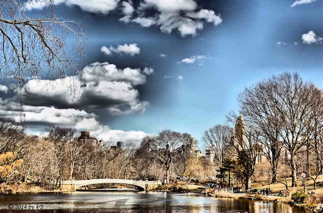 HDR photo of NYC Central Park
