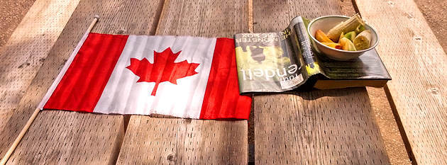 Picnic table, flag of Canada, snack and a book