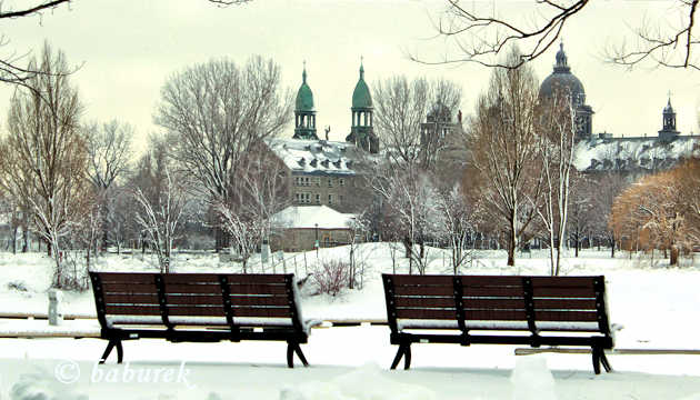 Park René Lévesque in Winter