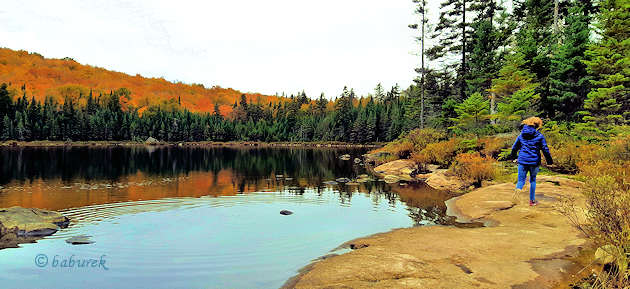 Lac à l’Ours - Parc national du Mont Tremblant