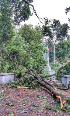 Storm Aug. 22. 2017 - Parc Notre-Dame-de-Grâce