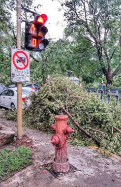 Storm Aug. 22. 2017 - Parc Notre-Dame-de-Grâce