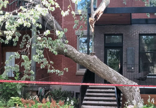 Storm Aug. 22. 2017 - Notre-Dame-de-Grâce